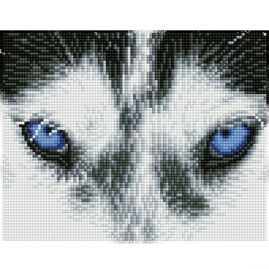 Craft Kits * | Coupon Diamond Dotz Diamond Embroidery Facet Art Kit 8 X10.24 -Mystic Husky With Frame