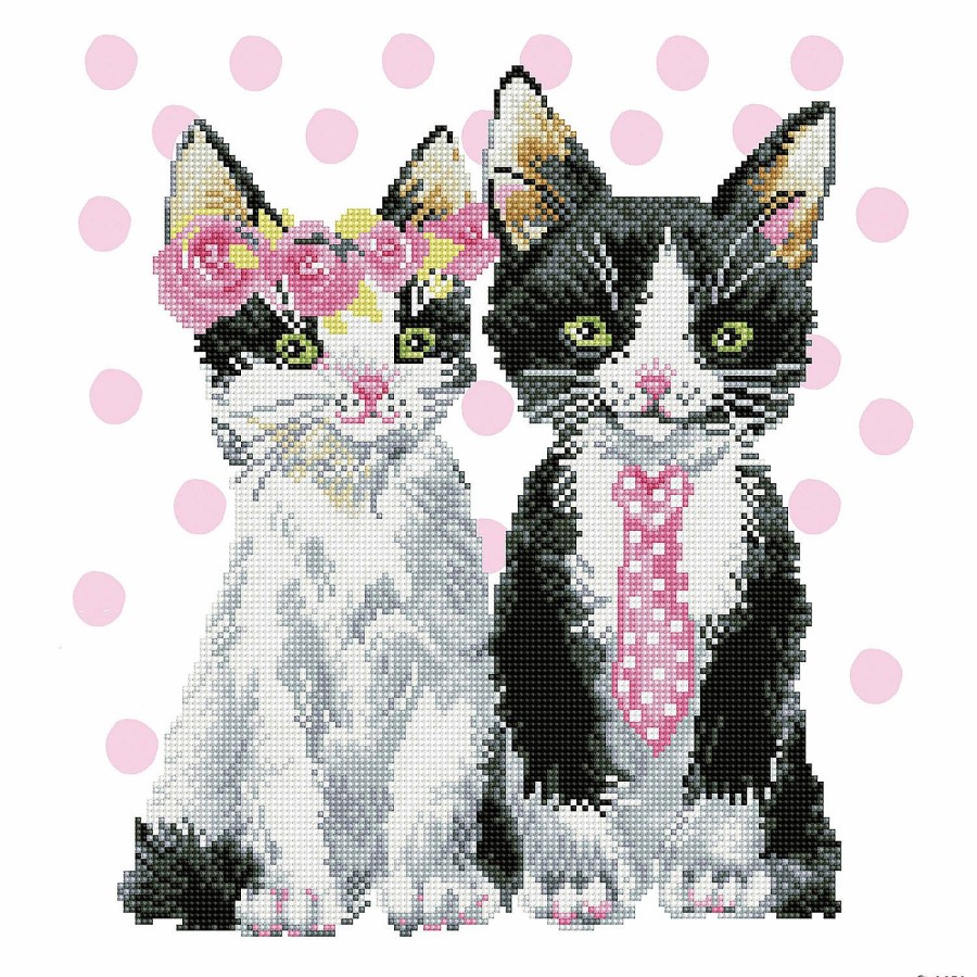 Craft Kits * | New Diamond Dotz Diamond Embroidery Facet Art Kit 16.5 X18.5 -Mr. & Mrs. Pink