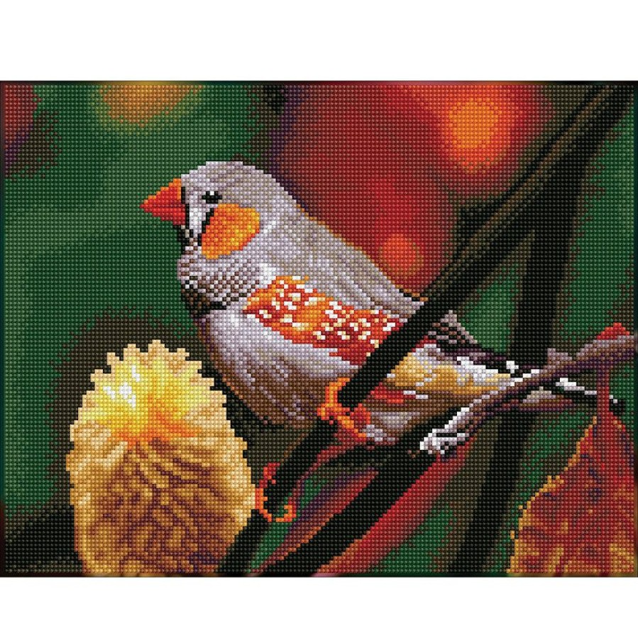 Craft Kits * | Discount Diamond Dotz Diamond Embroidery Facet Art Kit 12.2 X16.14 -Gouldian Finch With Frame