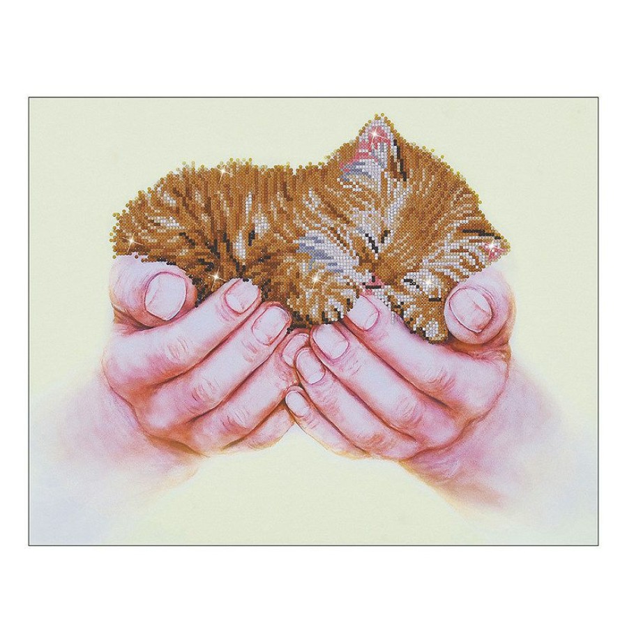 Craft Kits * | Top 10 Diamond Dotz-Precious Kitten