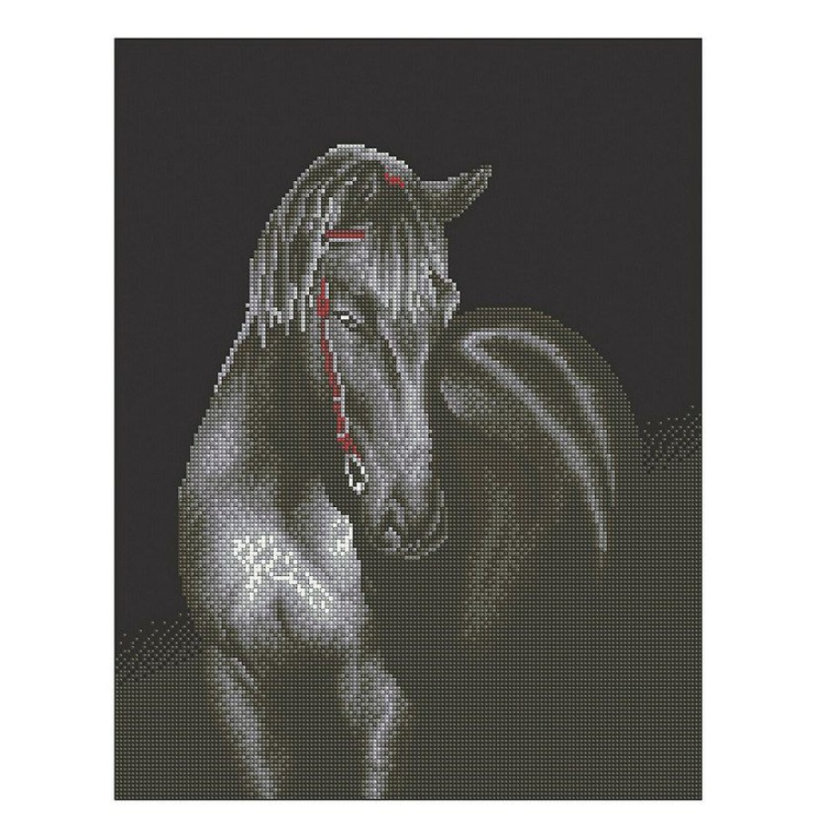 Craft Kits * | Top 10 Diamond Dotz-Midnight Stallion