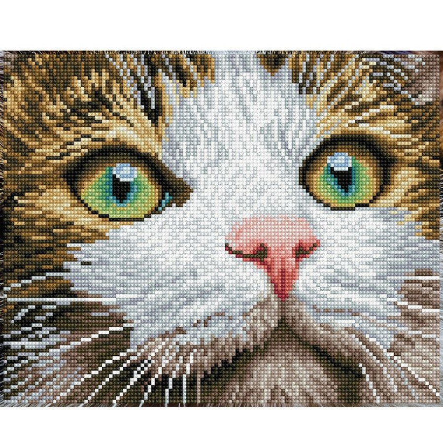 Craft Kits * | Cheap Diamond Dotz Diamond Embroidery Facet Art Kit 14 X11 -Green Eyed Beauty With Frame